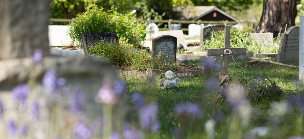 Image of fleet cemetery graves
