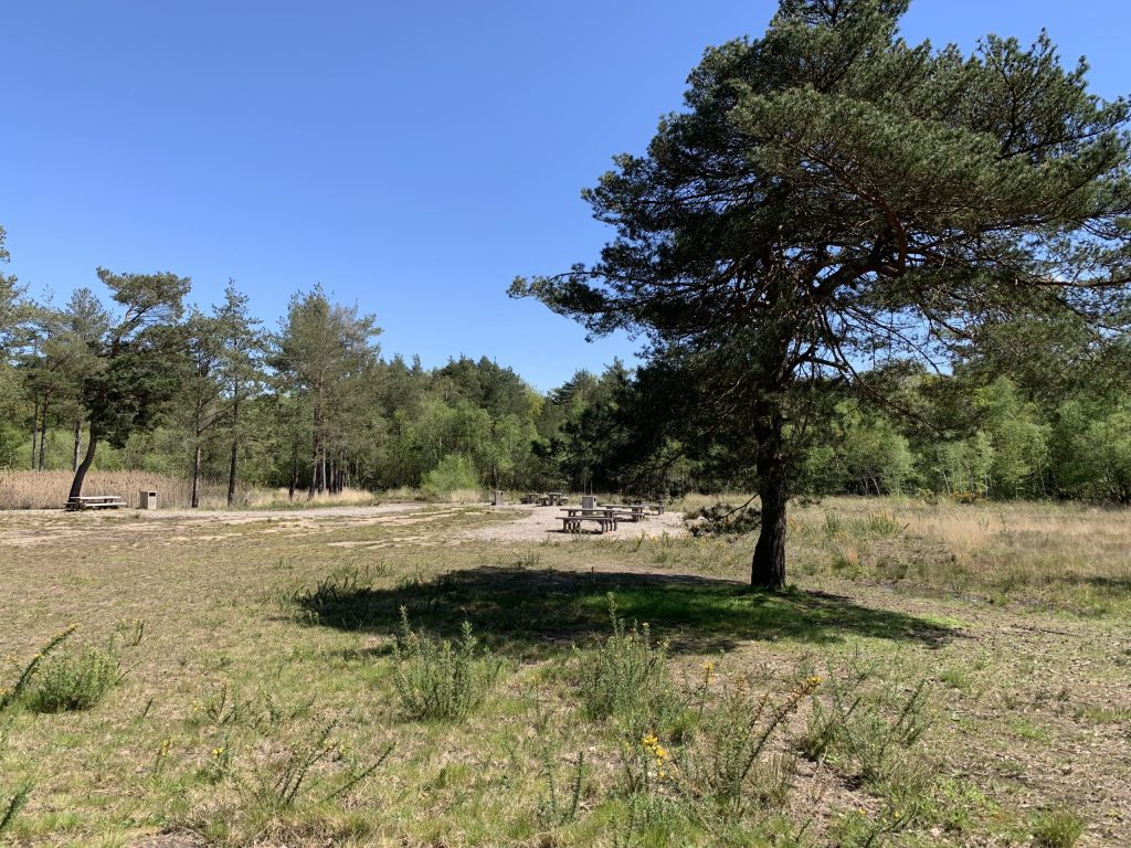 Image of Hartland Country Park