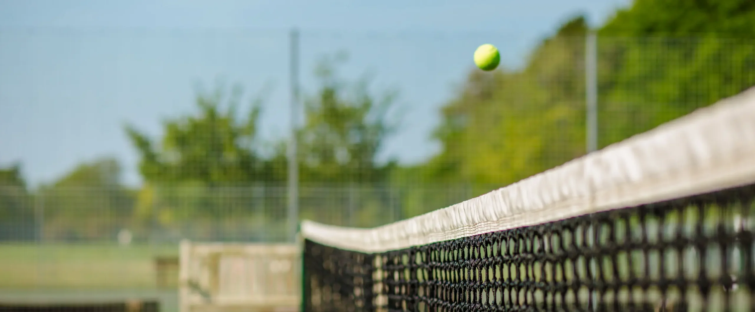 Image of a tennis ball soaring over a net