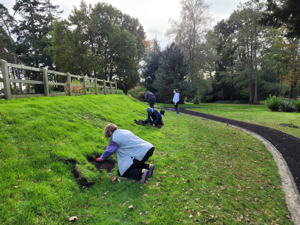 Image showing volunteers planting flowers at Fleet cemetery