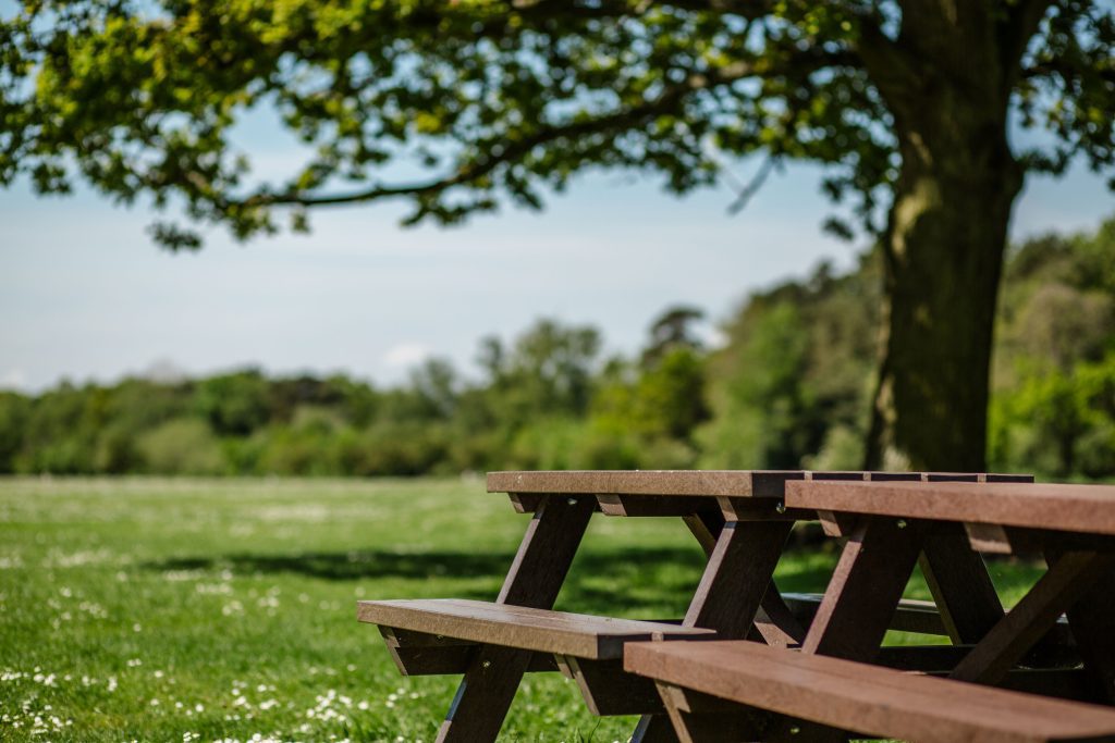 Image of a picnic bench in calthorpe park on a sunny day