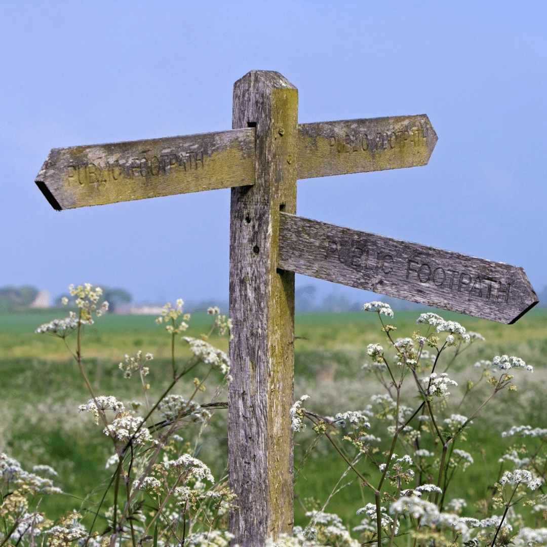 Image of a wooden signpost surrounded by white flowers