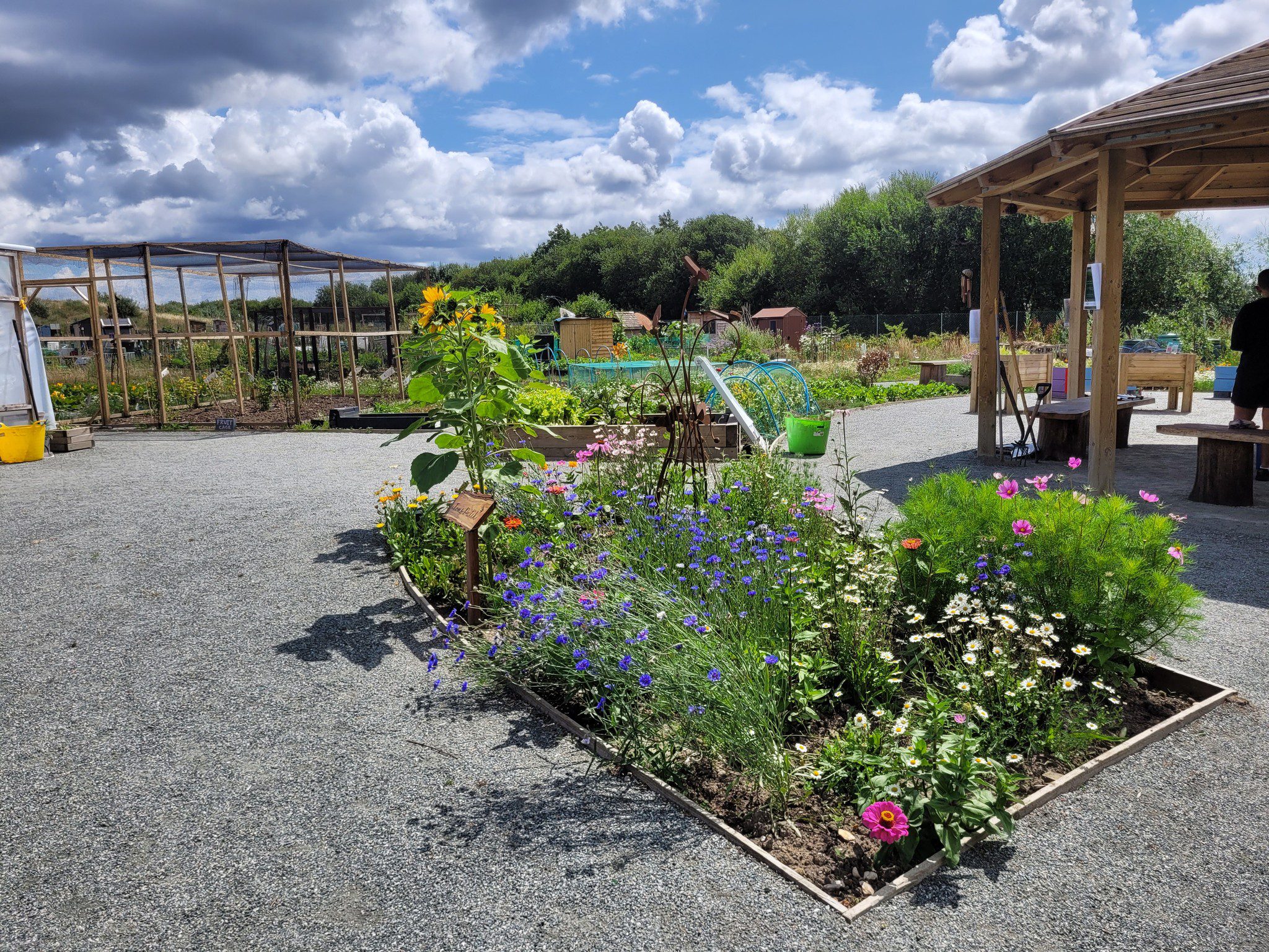 Hart Community Garden – Open Saturday | Fleet Town Council